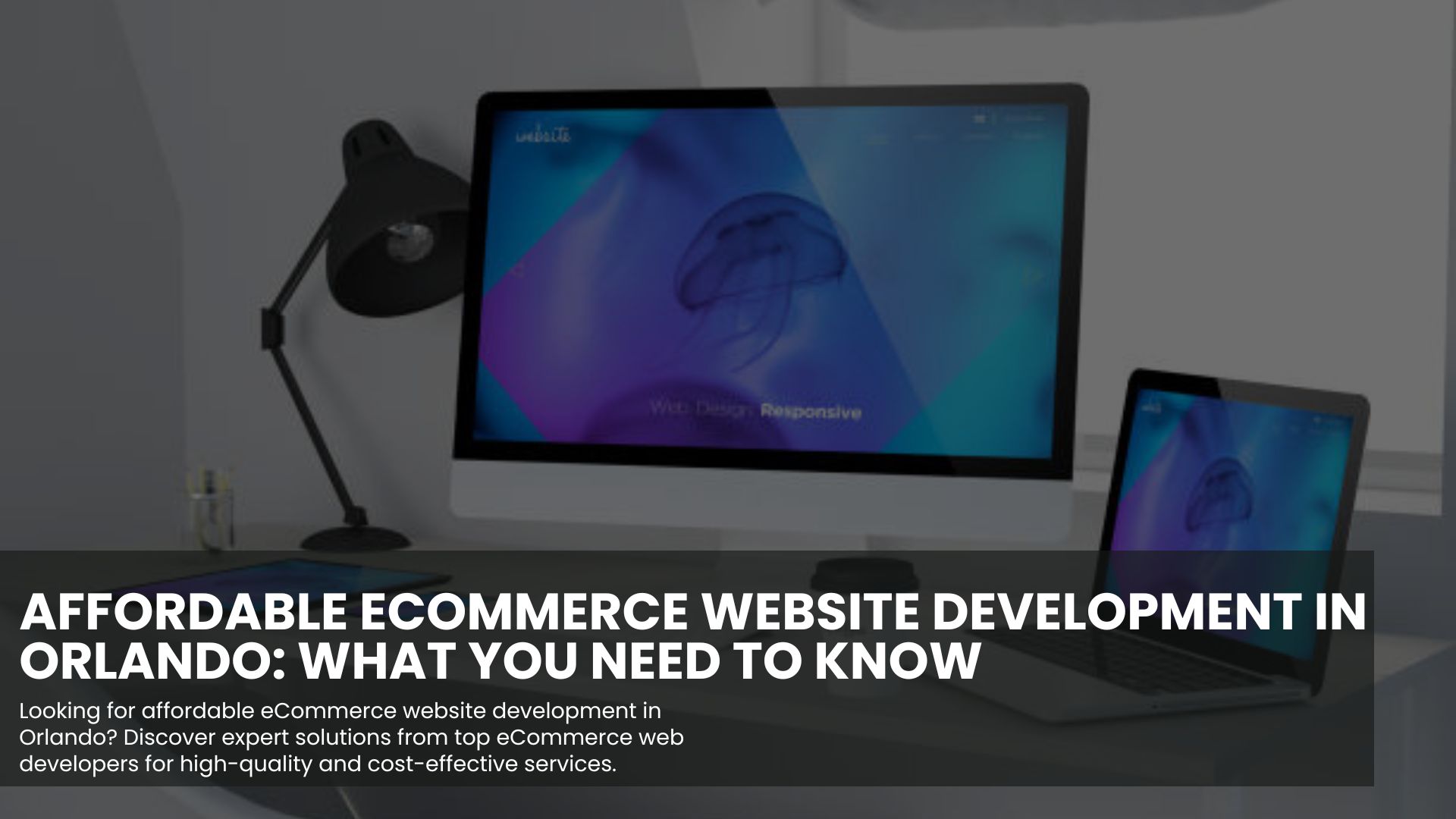 ecommerce website development Orlando 