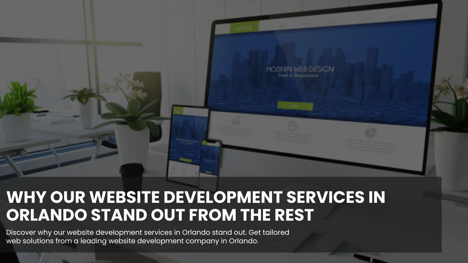 Website Development Orlando